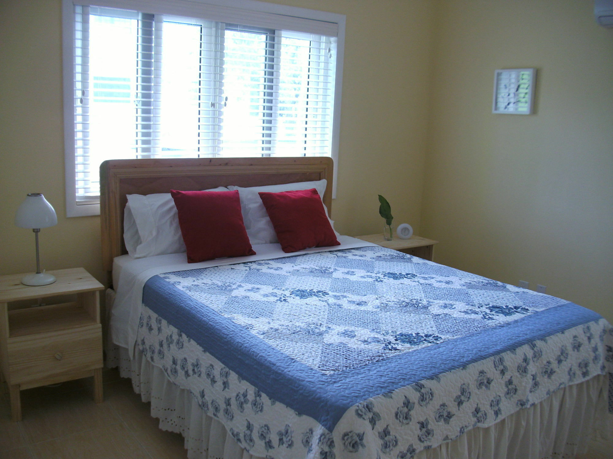 Sir Charles Guest House Palmetto Point Exteriér fotografie